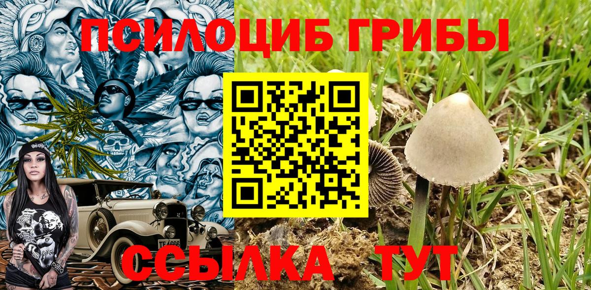 Псилоцибиновые грибы Magic Shrooms  Вход с VPN  Гусев  Галлюциногенные грибы Cubensis 